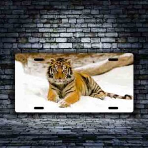 Young Tiger