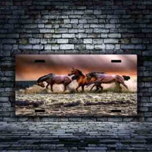 Arabian Horse in water