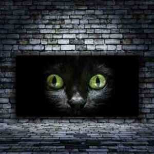 Cat with Yellow eyes