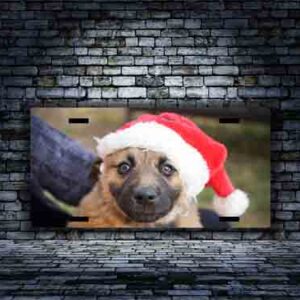 Christmas Puppy with hat