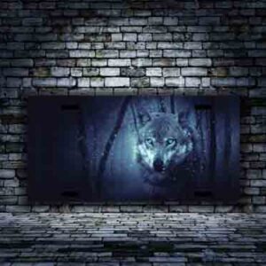 Gray Blue Eye Wolf