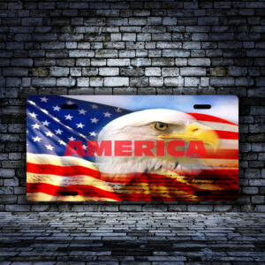 America-Flag-Eagle