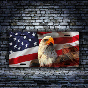 Eagle-with-American-Flag