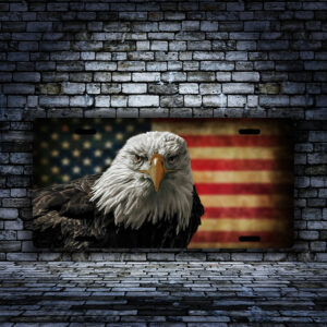 Eagle-with-Faded-American-Flag