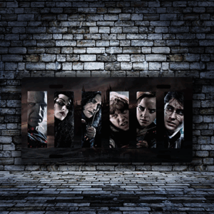 Harry Potter Team Custom License Plate